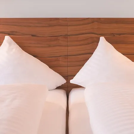 بيزيز سكاي 4* سانكت أنتون ام ارلبرغ